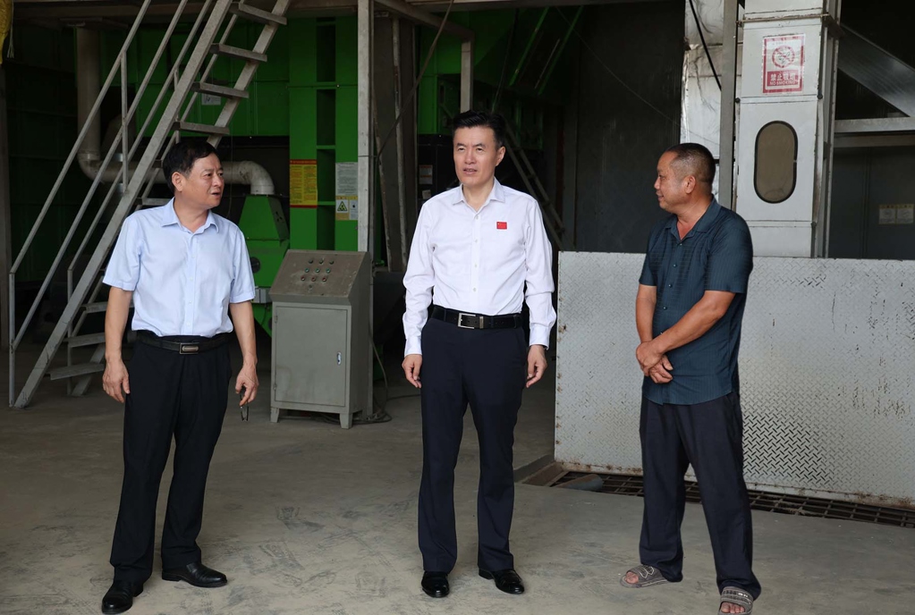 杨修伟到青山镇调研时强调：全面推进特色乡镇建设 打造乡村振兴示范样板