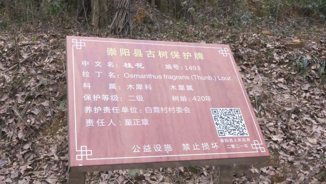 正在上传...