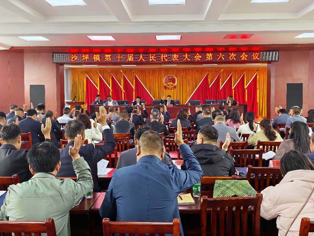崇阳县沙坪镇:人大会议票决民生实事 部署代表行动助力绿色发展.jpg 崇阳县沙坪镇:人大会议票决民生实事 部署代表行动助力绿色发展.jpg