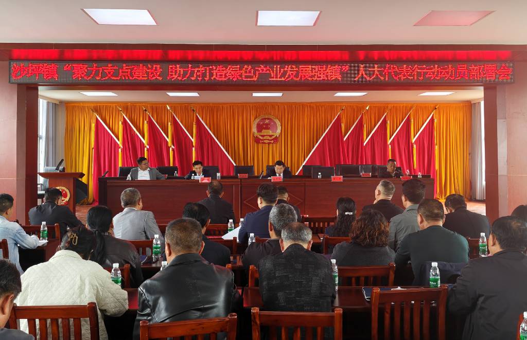 崇阳县沙坪镇:人大会议票决民生实事 部署代表行动助力绿色发展1.jpg 崇阳县沙坪镇:人大会议票决民生实事 部署代表行动助力绿色发展1.jpg